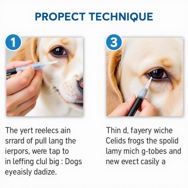 Applying OptiXCare Eye Lube Plus to a Dog's Eye