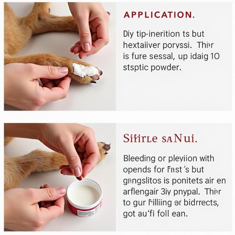 Applying Styptic Powder to Dog Nail