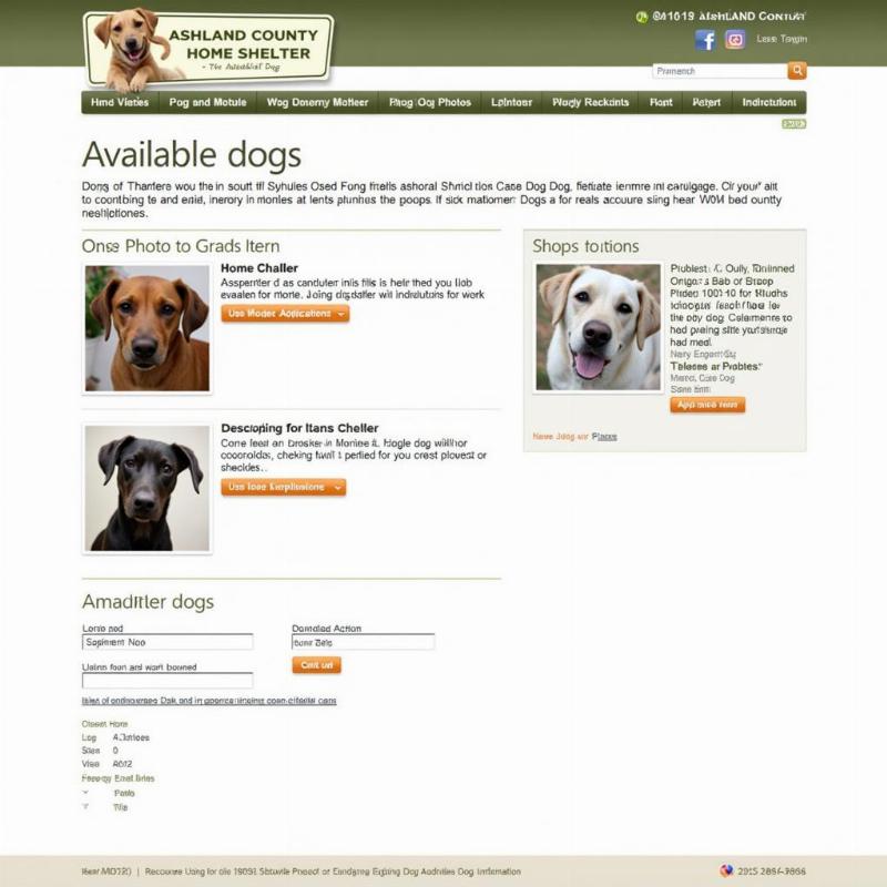 Ashland County Dog Shelter Available Dogs Website