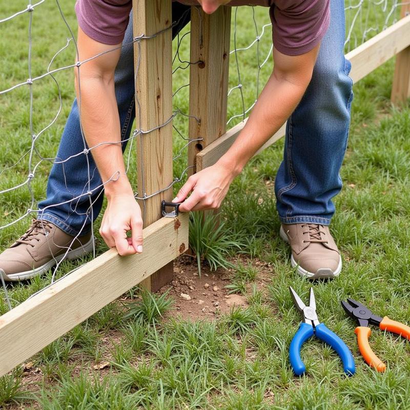 Maintaining wooden fence and wire