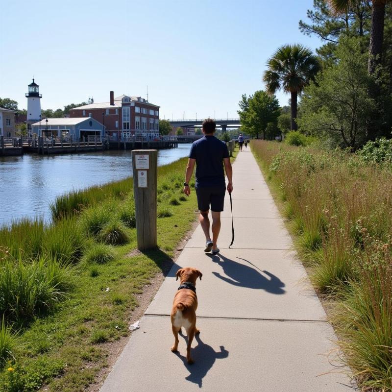 Dog-walking trails in Beaufort, SC