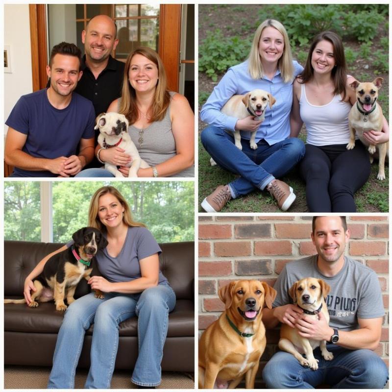 Heartwarming Adoption Stories from Big Dog Ranch Rescue