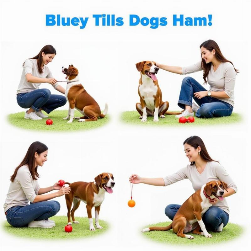 Bluey Toys for Interactive Play