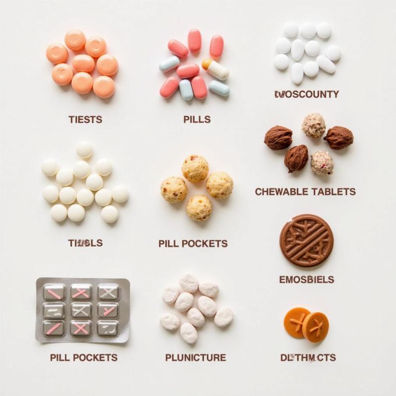 Different types of medication for dogs