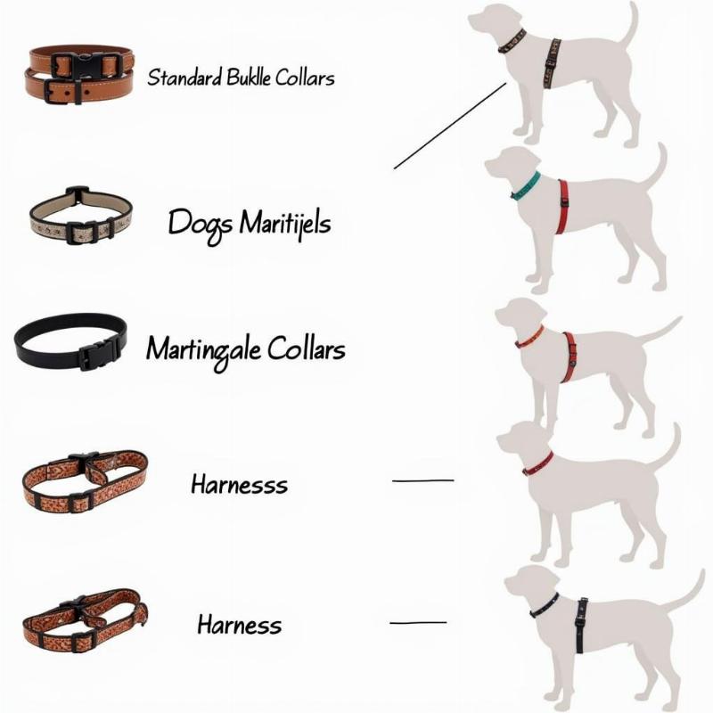 types-of-dog-collars-for-small-breeds