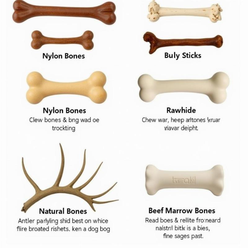 Different Types of Chew Bones for Dogs