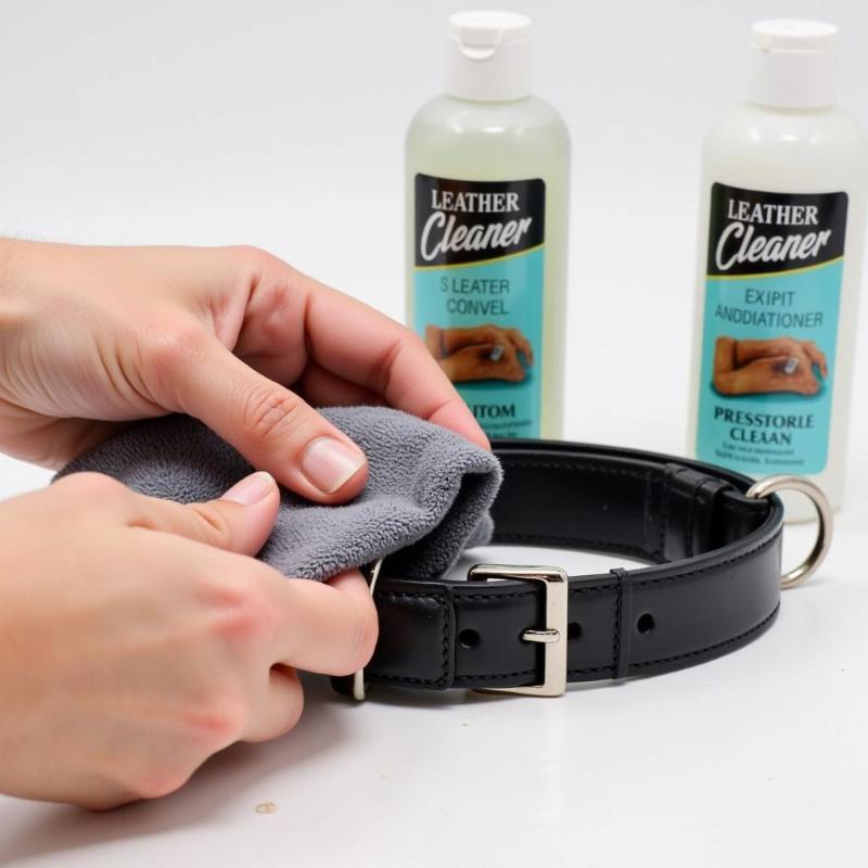 How to care for a dog leather collar