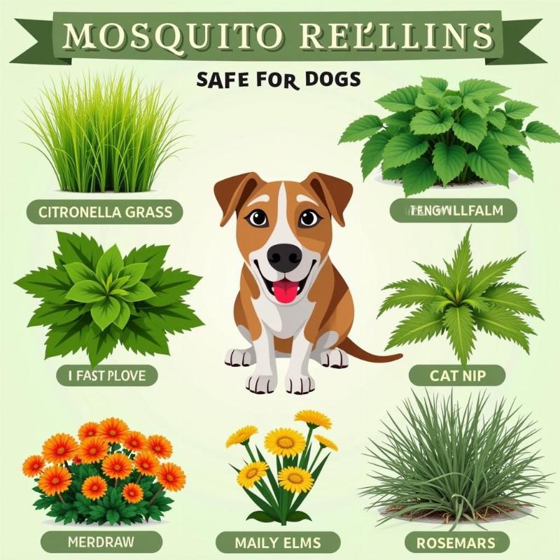 Mosquito Repelling Plants Safe for Dogs