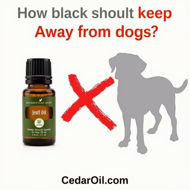 Is Cedar Toxic to Dogs?