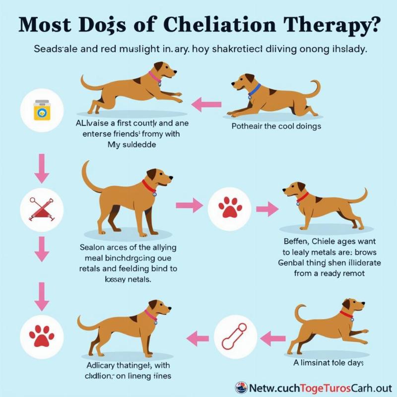 Chelation Therapy for Dogs