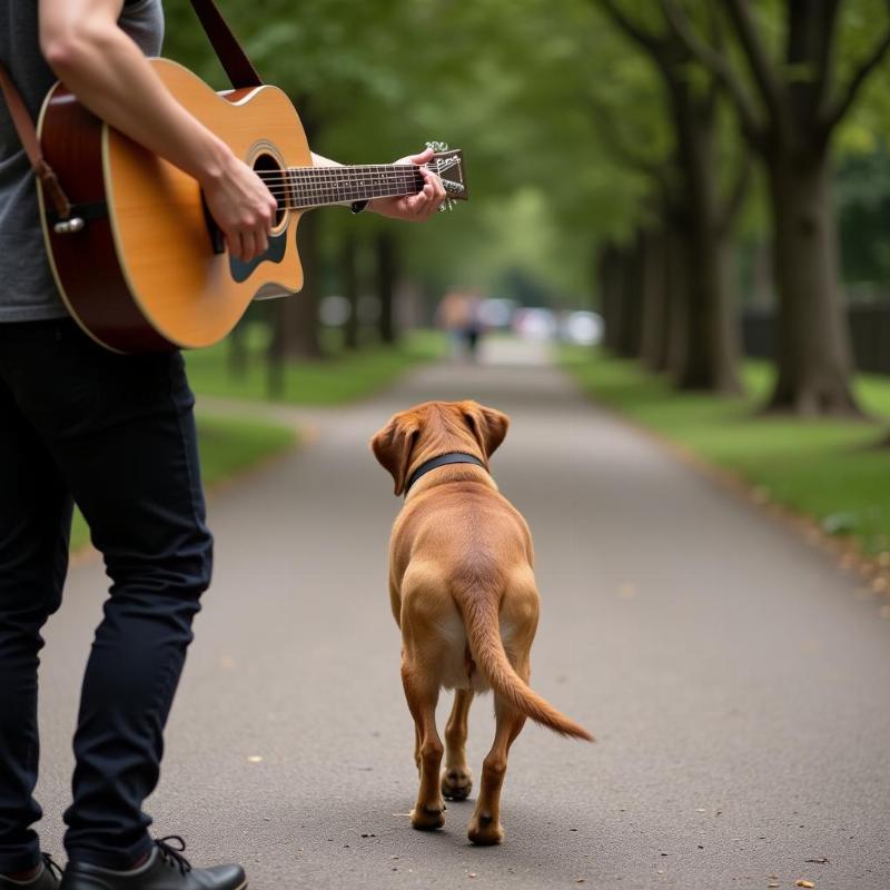 dog-leaving-while-owner-sings