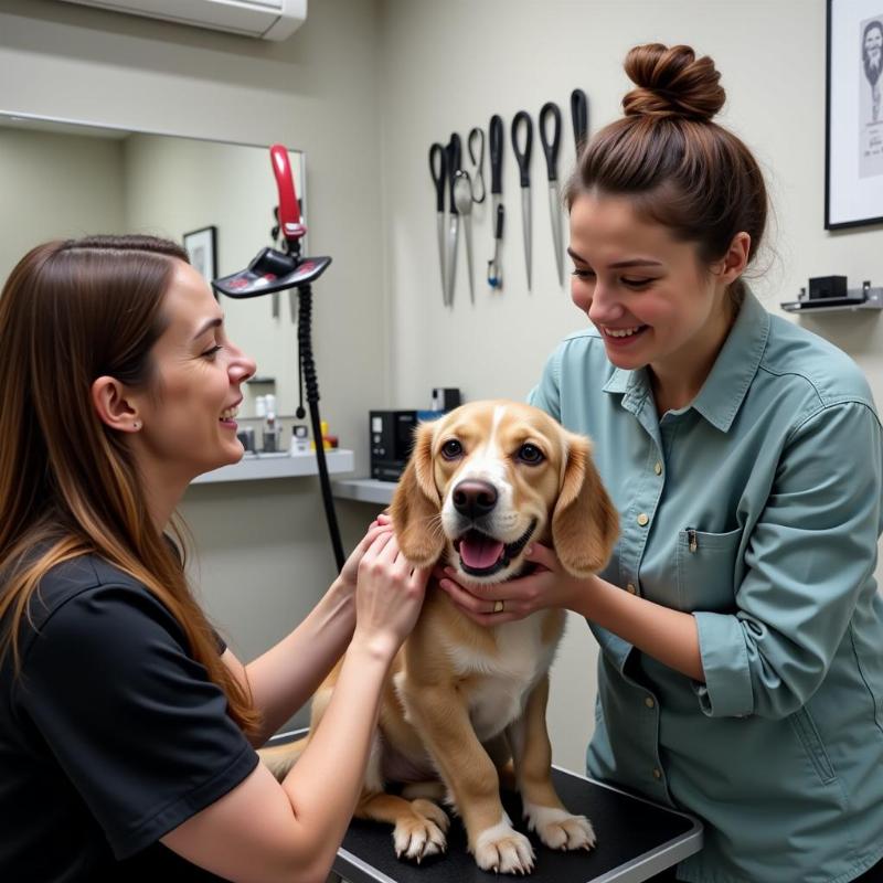 Dog Grooming in Brooklyn Park, MN: Finding the Perfect Pampering for Your Pooch