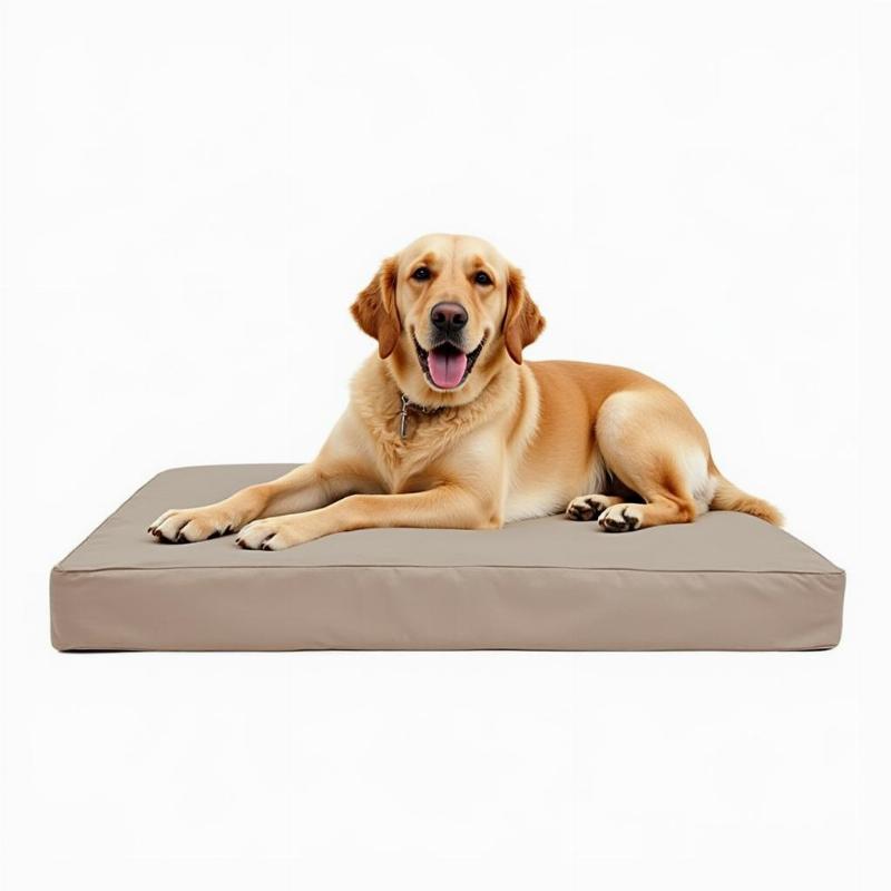 Choosing the right size dog bed cover for large dogs