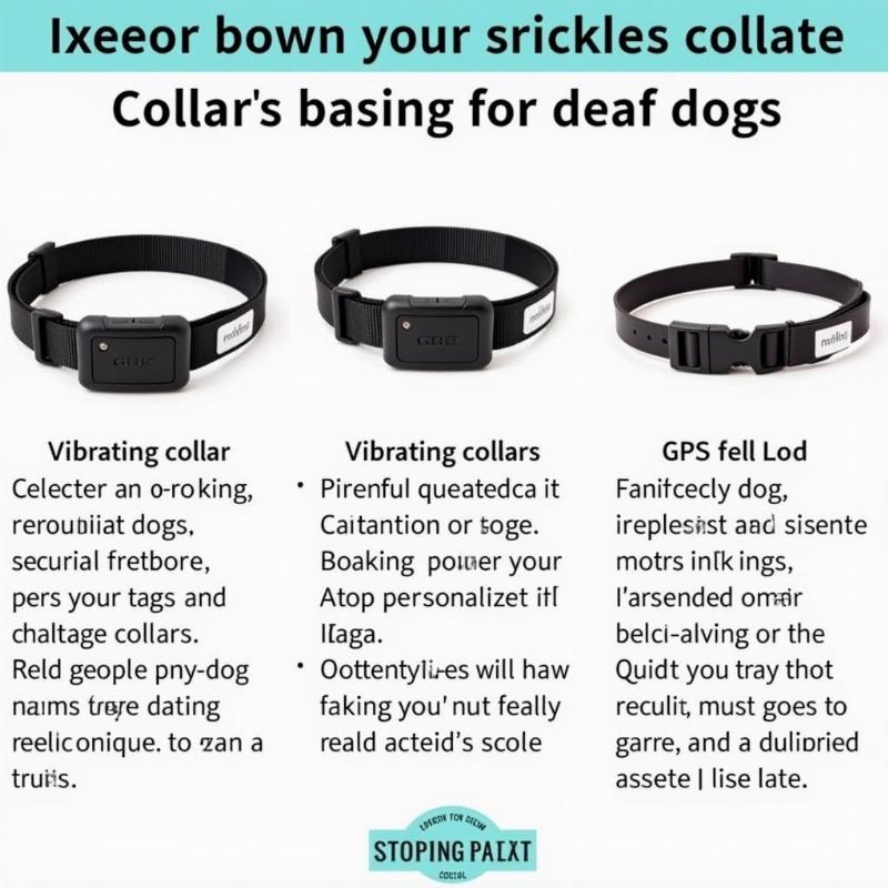 Choosing the Right Collar for a Deaf Dog