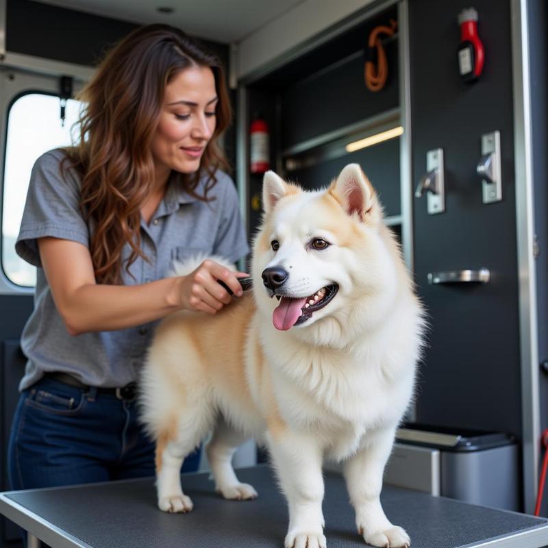 Choosing a Mobile Dog Groomer in Littleton