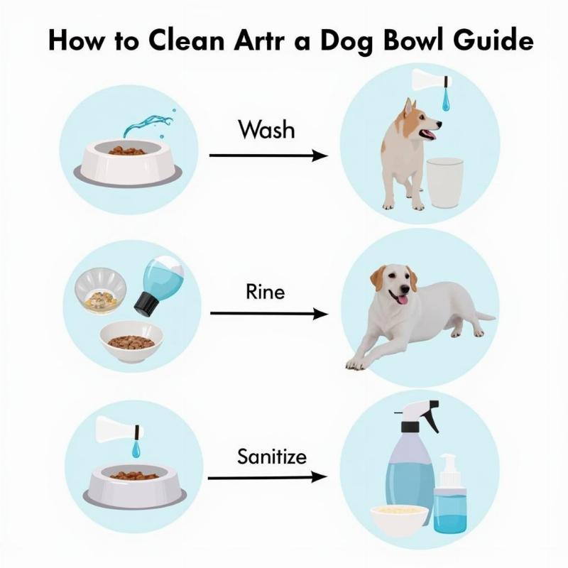 Cleaning Dog Bowls