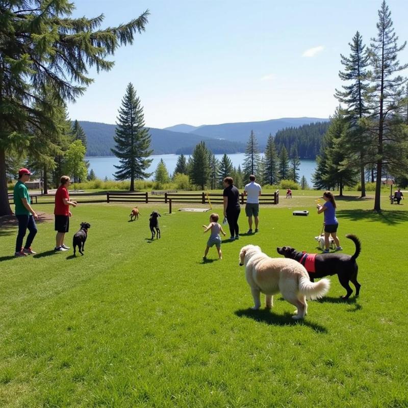 Dog-Friendly Activities in Coeur d'Alene