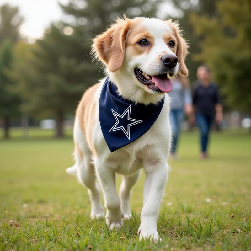 Dallas Cowboys Bandanas for Everyday Dog Wear