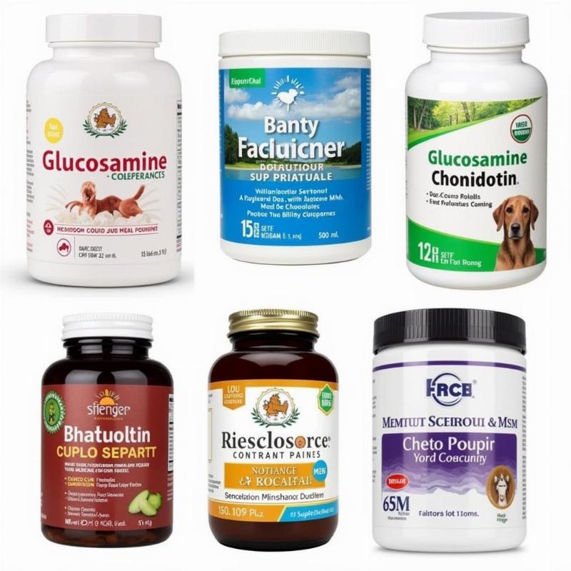 Different forms of glucosamine, chondroitin, and MSM supplements