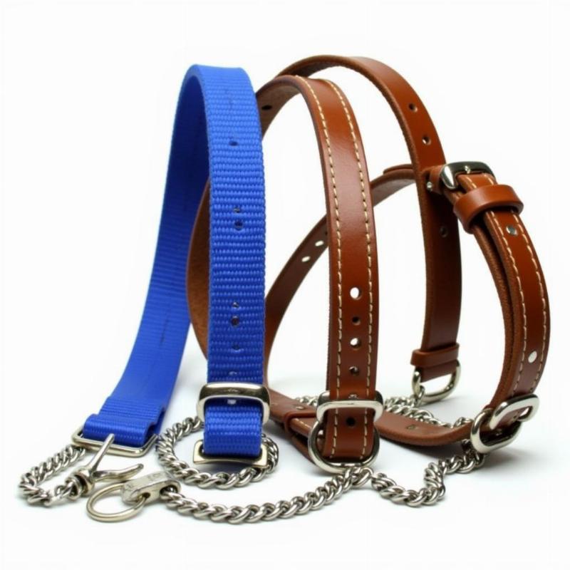 Martingale collars made from various materials like nylon, leather, and metal.