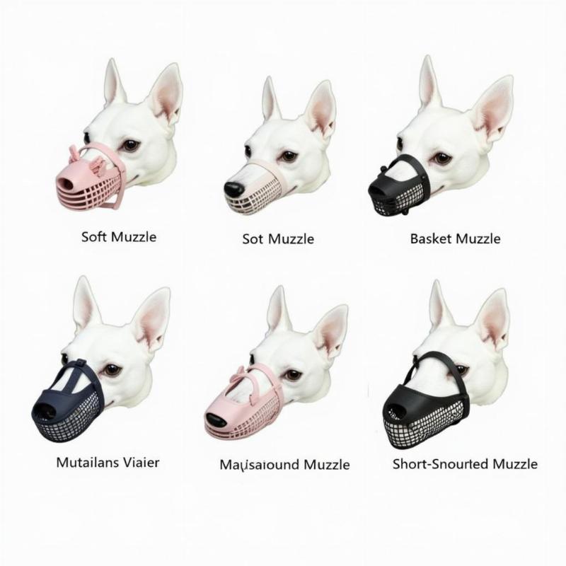 Various Muzzle Types for Small Dogs