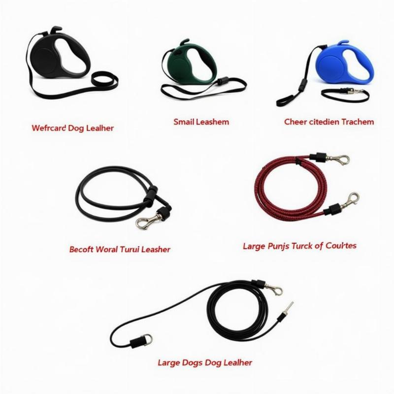 Various 20-foot retractable leashes for different dog sizes