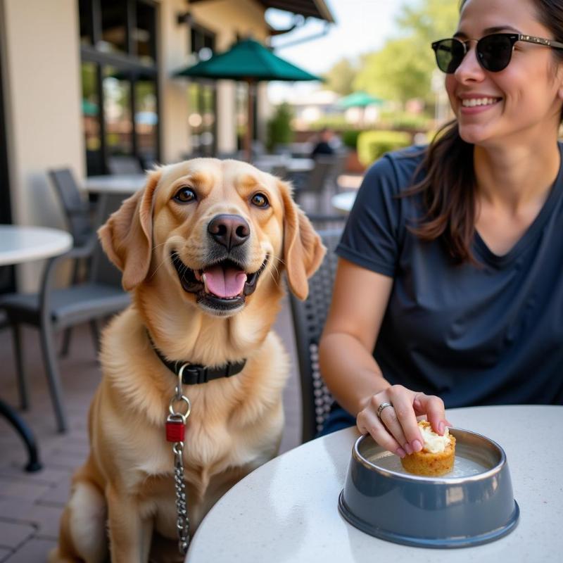 Dining with Your Dog in Chandler