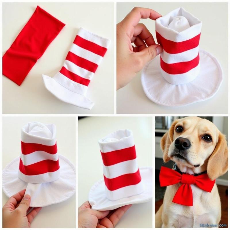 DIY Cat in the Hat Dog Costume