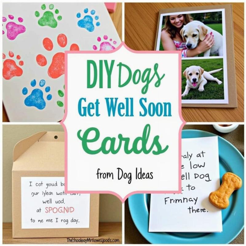 DIY Dog Get Well Soon Card Ideas