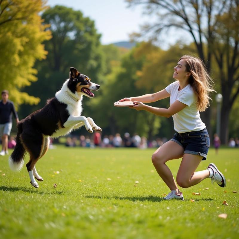 Like a Dog Crossword Clue: Decoding Canine Behavior in Puzzles