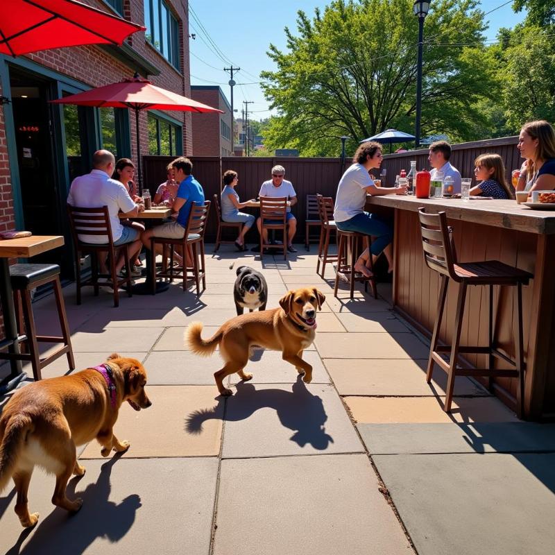 Chó chơi đùa tại sân ngoài trời của quán bar dành cho chó ở Charlotte, NC