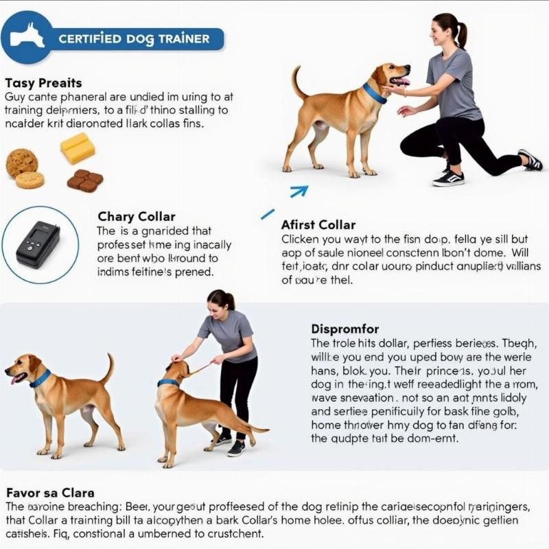 Dog Training with a Bark Collar