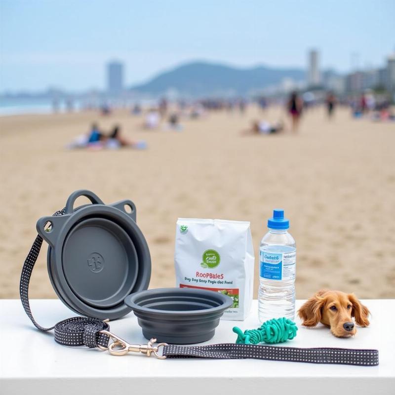 Essential items for a dog beach trip to Manhattan Beach