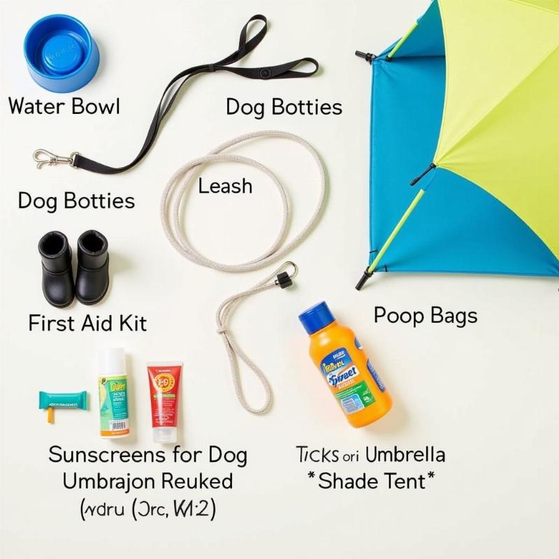 Essential Items for Dogs on Outer Banks Beaches