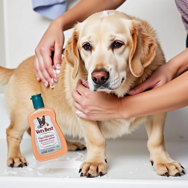 Dog Being Washed with Vet's Best Shampoo