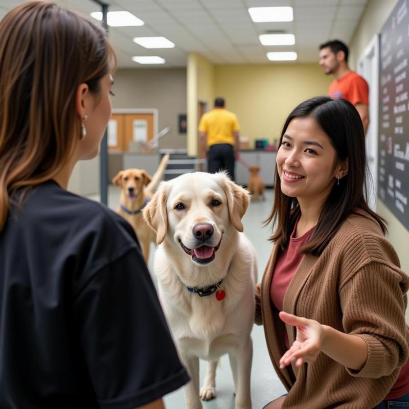 Dog Daycare King of Prussia PA: Questions to Ask