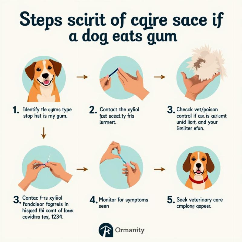 Dog eating gum - what to do