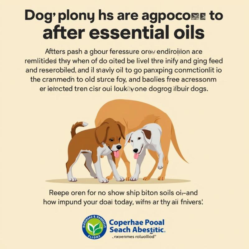 Dog Essential Oil Reaction