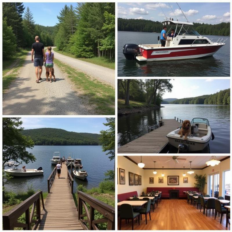 Dog-friendly activities in Lake George