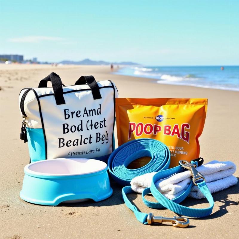 Dog Friendly Beach Essentials