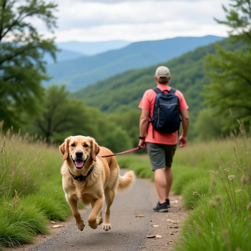 Dog-friendly hiking in Shenandoah National Park