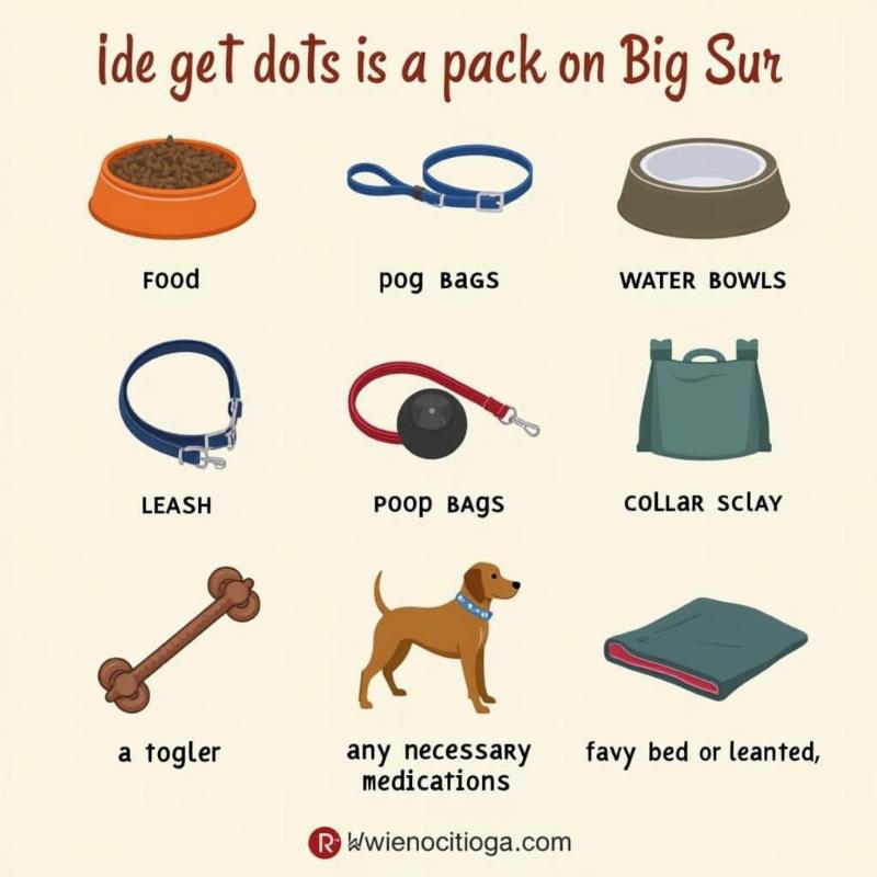 Dog-Friendly Hotel Big Sur Packing List