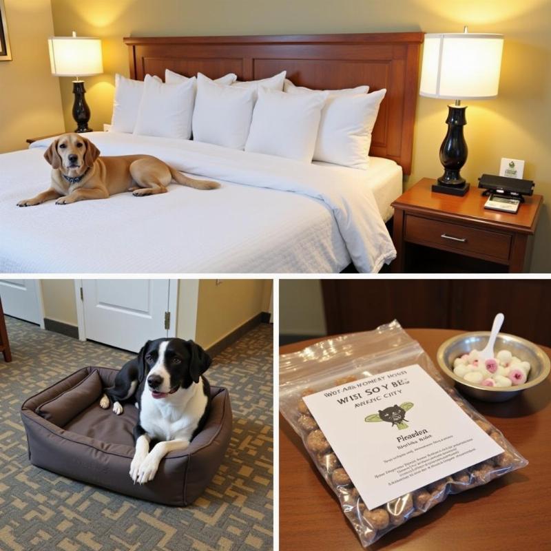 Dog-friendly hotel room amenities in Atlantic City