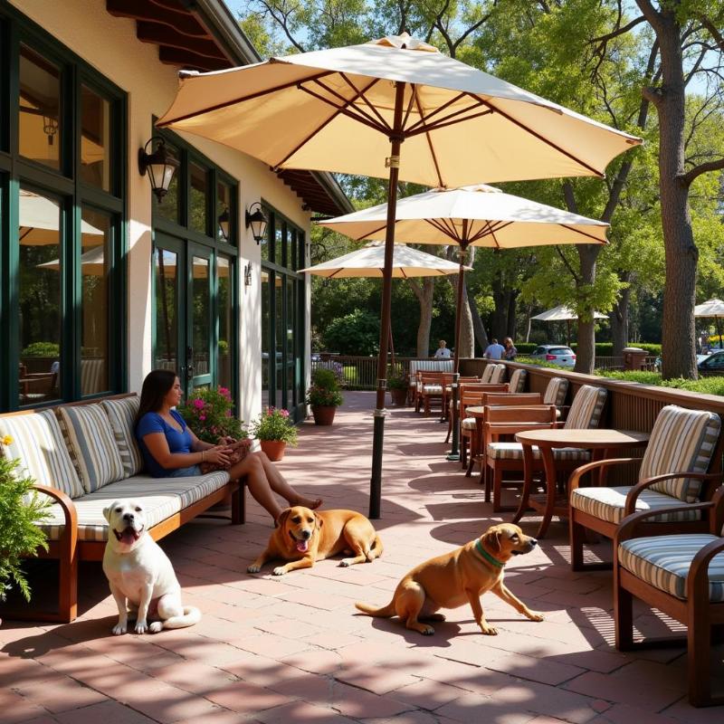 Dog-Friendly Patio in Del Mar