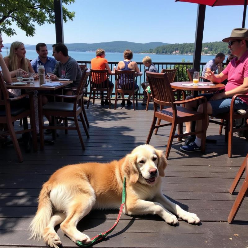 Dog-friendly patio dining in Duluth