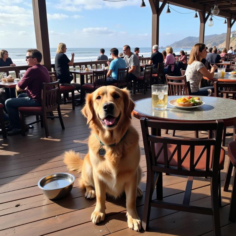 Dog Enjoying Patio Dining in Pismo Beach