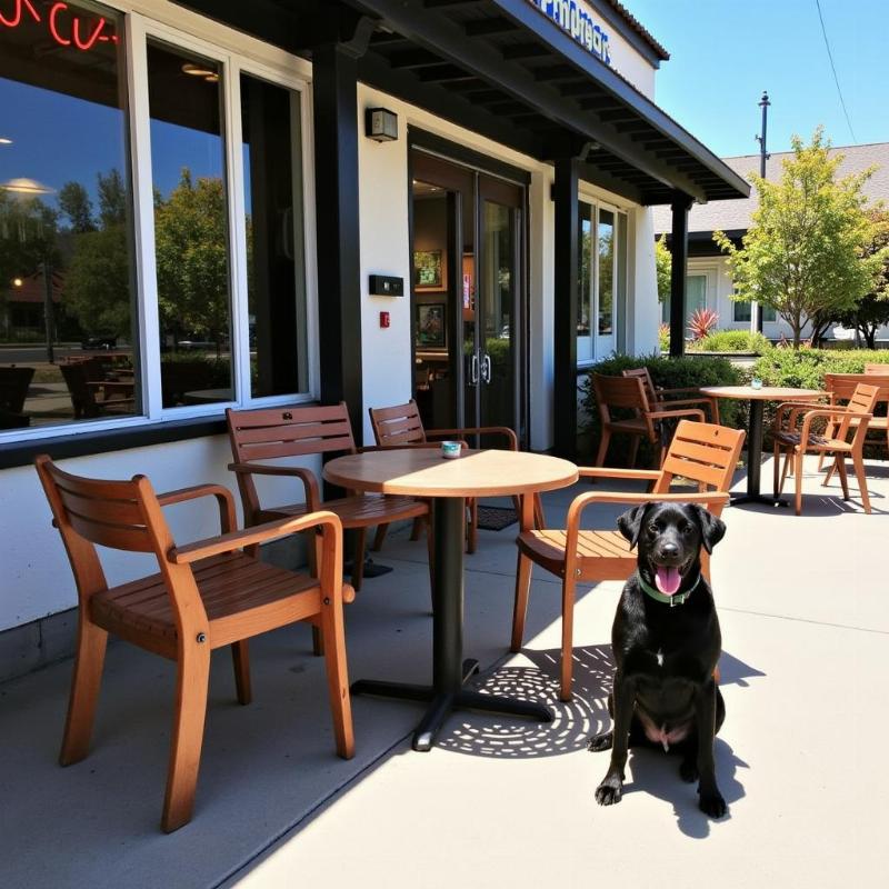 Dog-Friendly Patio in Ventura