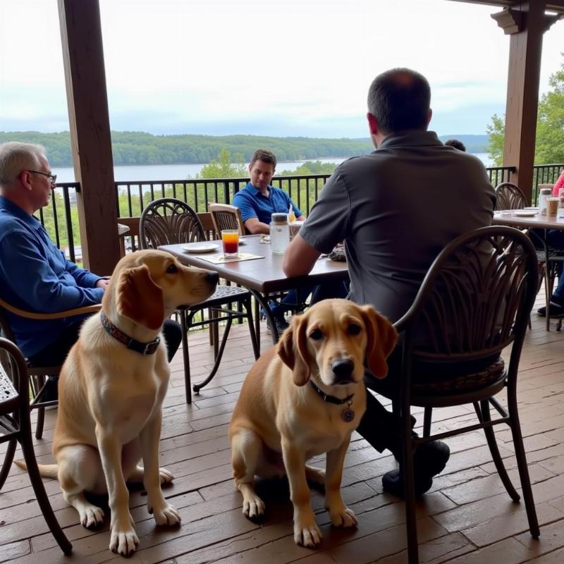 Những nhà hàng thân thiện với chó ở Hồ Ozarks