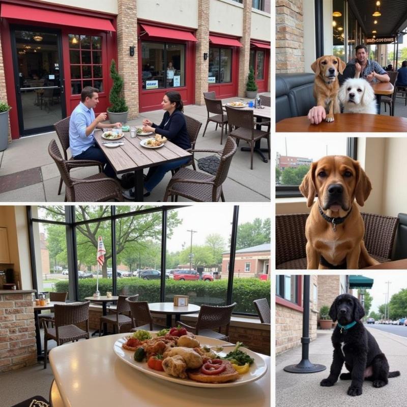 Dog-Friendly Restaurants in Lawrence, KS