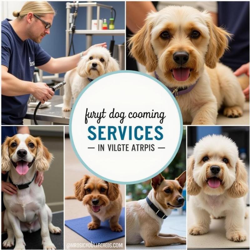 Dog Grooming Services in Villa Rica